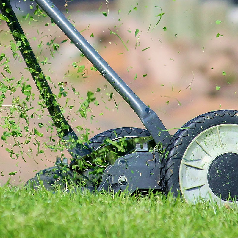 Rasen mähen: Wann, wie und auf welcher Höhe Rasenmähen - Rasenpflege