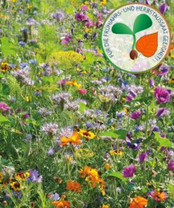 Rasendoktor Blumenwiese für Bienen- und Schmetterlinge